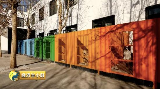 寵物寄養(yǎng)酒店