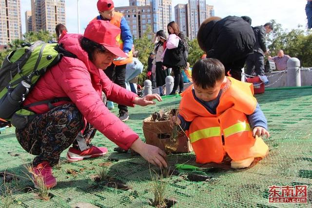 閩江公園舉辦植樹節活動 200多人“插秧”打造綠色生態江岸 