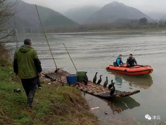 科技技術尋找打撈和動物協助打撈相結合