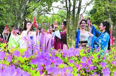 三月，花事正好 