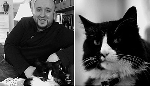 這個(gè)錄像剪輯片是39歲的電影制作人威爾·布拉登的作品。（社交媒體截圖）