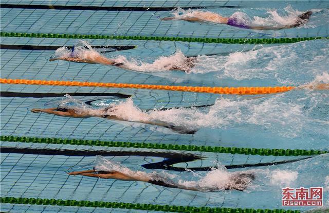 全國春季蹼泳錦標賽將樂啟幕