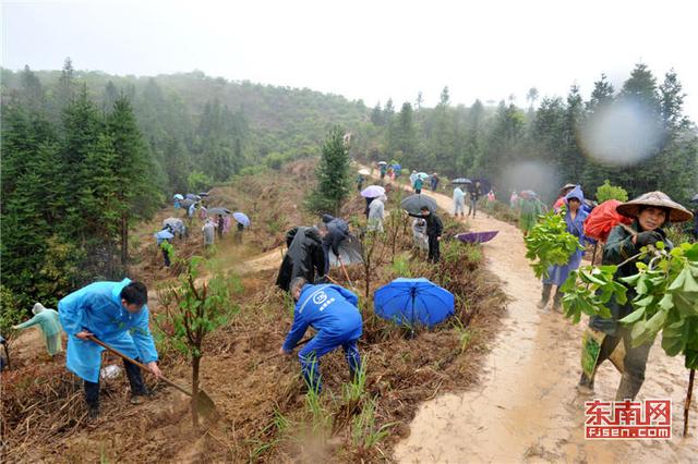 福州:黨員志愿者建設公益景觀林 助力永泰美麗鄉村建設 