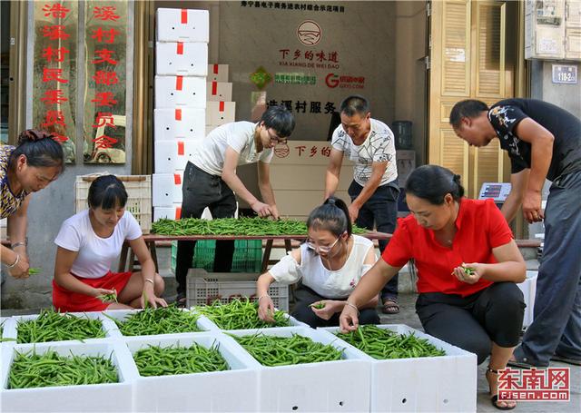 寧德推動農村電子商務體系建設：咱村有電商，特產賣得歡 