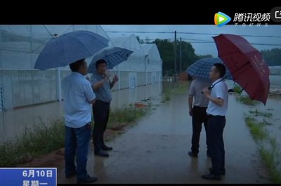 寧化：持續(xù)暴雨襲擊 農(nóng)作物受災(zāi) 干部群眾奮起抗災(zāi)自救