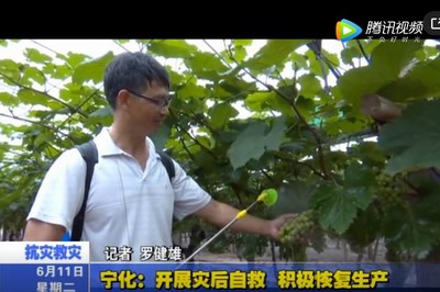 寧化：開(kāi)展災(zāi)后自救 積極恢復(fù)生產(chǎn)