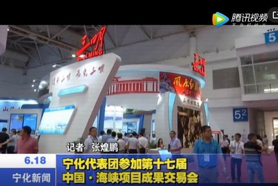 寧化代表團(tuán)參加第十七屆中國(guó)·海峽項(xiàng)目成果交易會(huì)