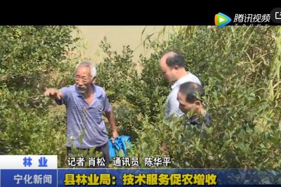 縣林業局：技術服務促農增收