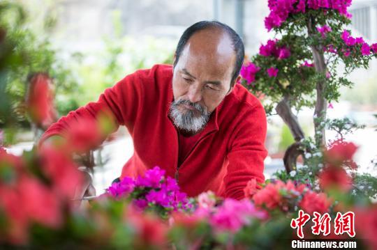 一位“花癡”的廢礦“情緣”：深情守望靜待花開