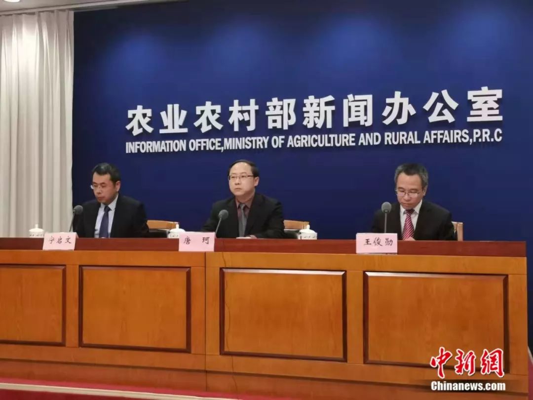 春節豬肉、蔬菜、水果會集體漲價？農業農村部回應