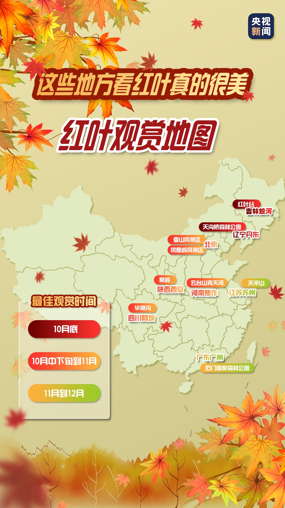 一葉知秋!帶上這份地圖,定制專屬于你的紅葉觀賞地