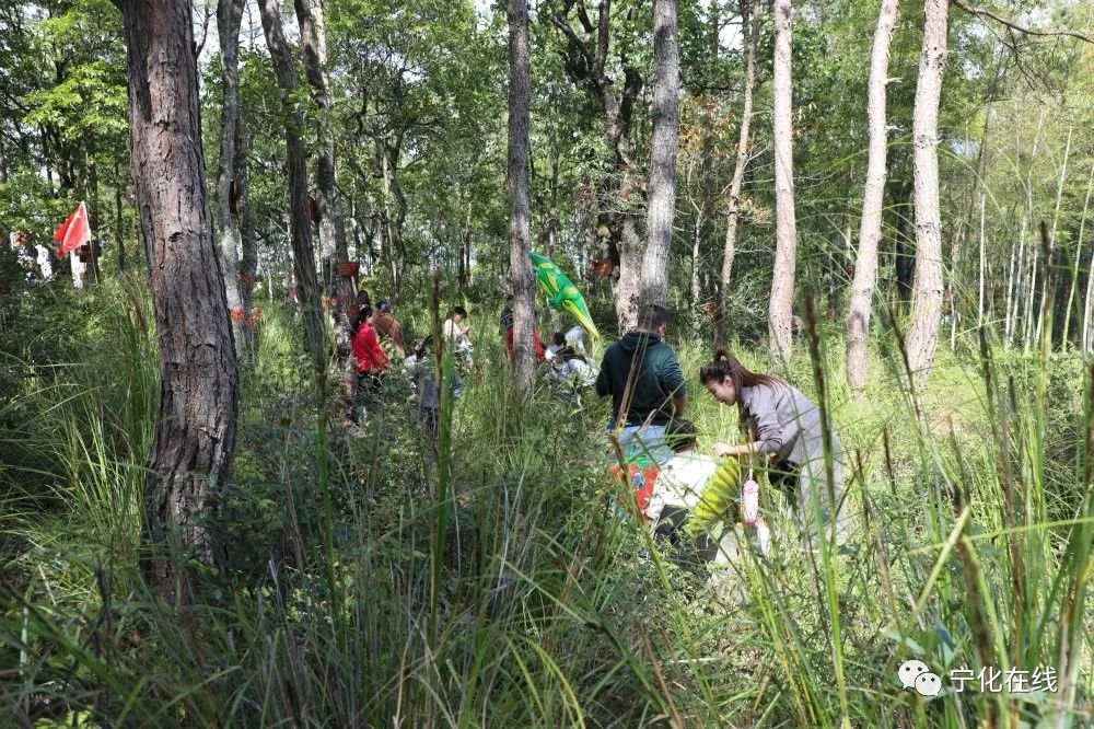 【鄉村振興】石壁鎮第二屆商貿旅游節圓滿落幕，快來圍觀！
