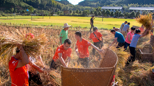 河龍鄉(xiāng)向社會(huì)有獎(jiǎng)?wù)骷跋褓Y料的情況公布