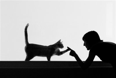 擼貓后莫名長出腫塊？貓抓病了解一下