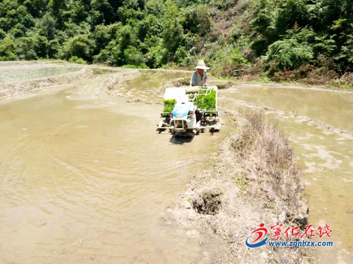 寧化供銷：當好服務“三農”生力軍