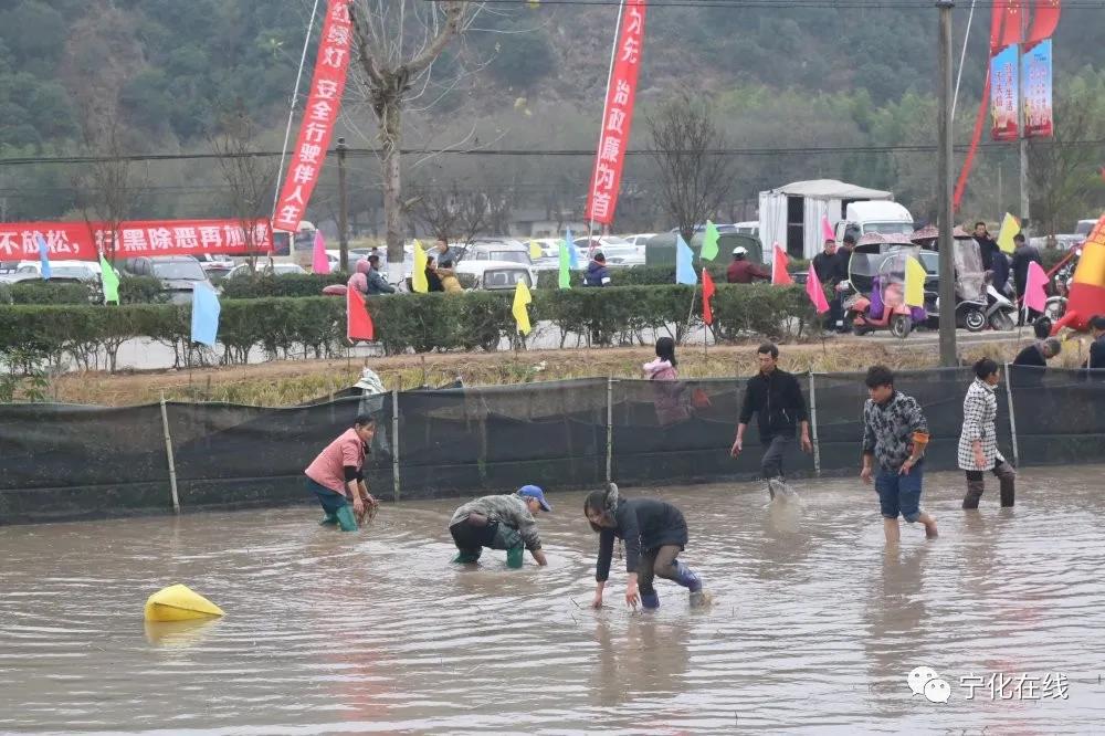 【中國綠都·最氧三明】寧化安遠鎮舉行第二屆文化旅游節