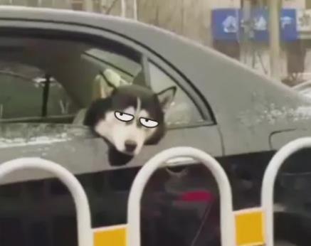 人為什么會暈車？暈動病的原因及癥狀，預防暈車的6個小妙招