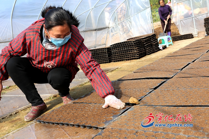 寧化：春耕備耕忙 播種正當時