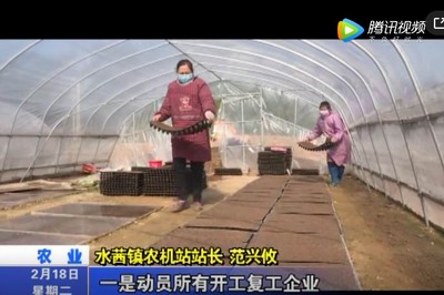 水茜鎮(zhèn):春耕備耕忙 播種育苗正當(dāng)時(shí)