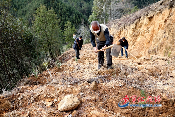 寧化：完成植樹造林1316畝
