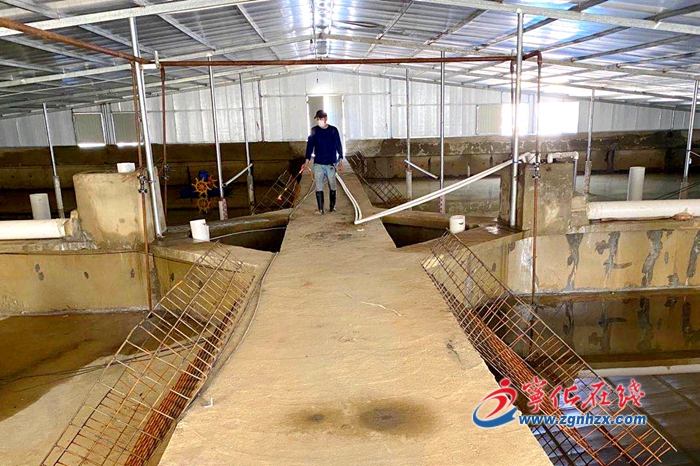 寧化安遠鎮(zhèn):加快養(yǎng)殖業(yè)復工復產(chǎn)