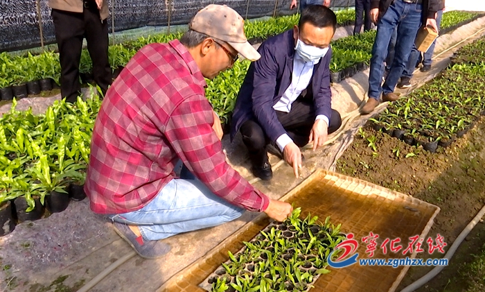 寧化縣領導調研指導臺資企業疫情防控和復工復產工作