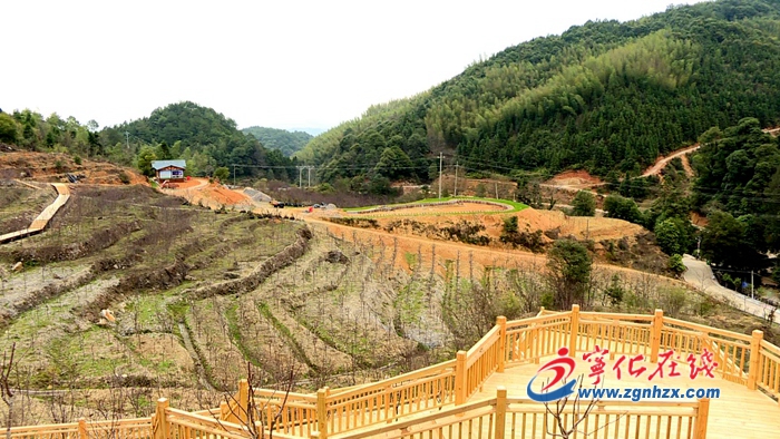 寧化：南山森林康養(yǎng)項(xiàng)目建設(shè)“快馬加鞭”