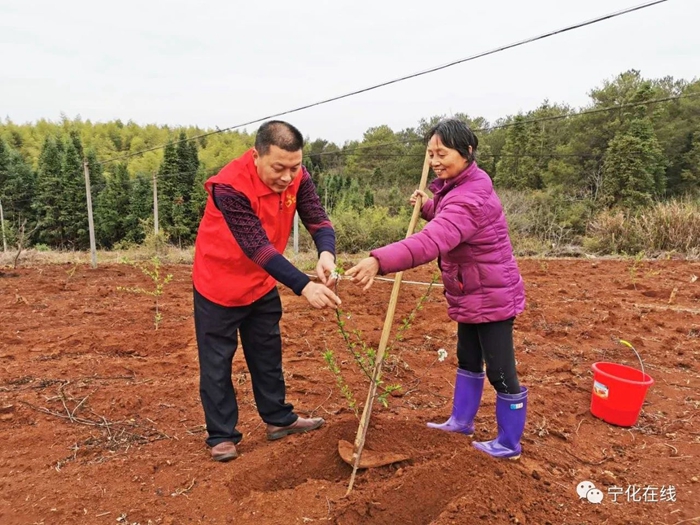 學(xué)雷鋒日，寧化多部門單位在行動(dòng)