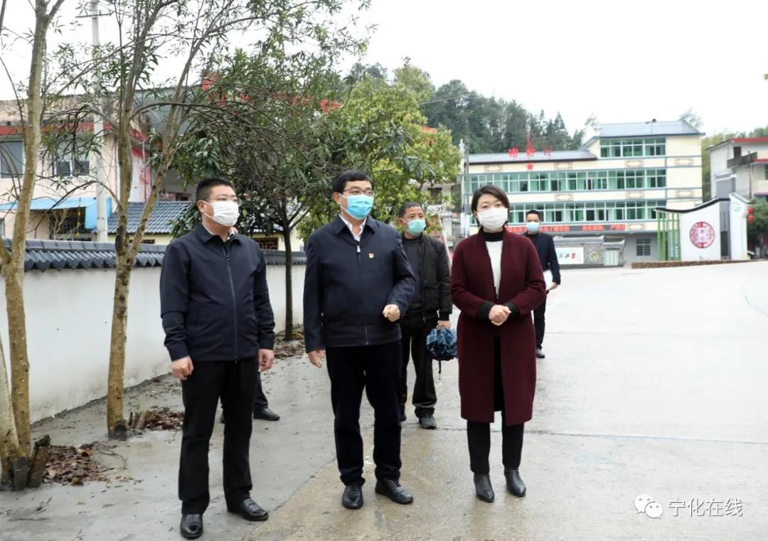 市委副書記王進足來寧化調研