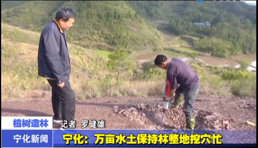 寧化：萬畝水土保持林整地挖穴忙