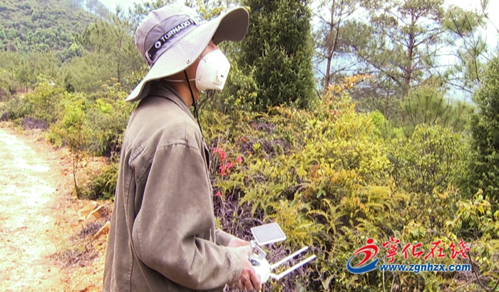 寧化：無人機助力森林森林病蟲害防治作業