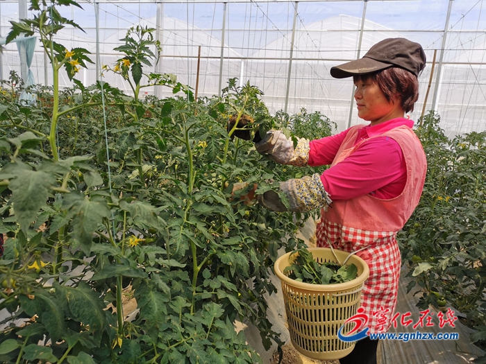 寧化：龍頭企業各顯神通助增收