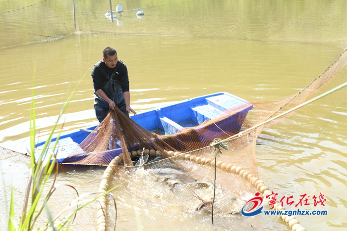 謝華強：“昔日貧困戶”變身“致富帶頭人”