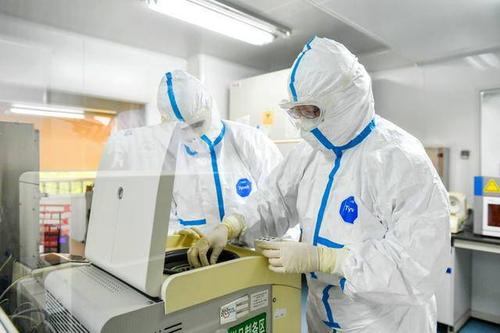 最高135元！黑龍江新冠病毒核酸檢測價格出爐 5月12日起執(zhí)行