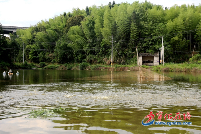 69歲退伍老兵廖善球的創(chuàng)業(yè)之路