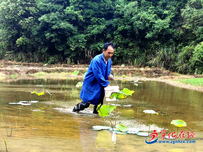 【小康來敲門】 “蓮”通致富路