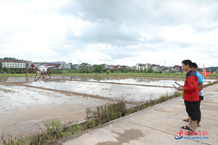 【滿意在三明】寧化舉辦水稻生產全程機械化現場會