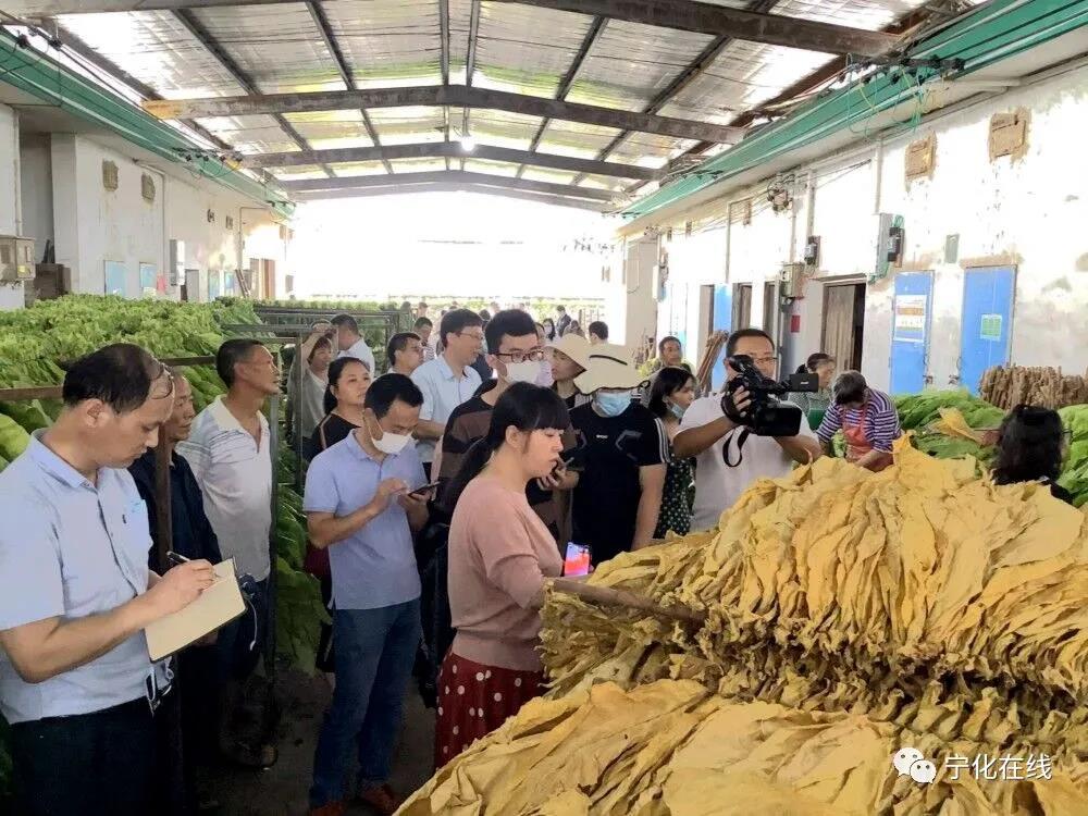 讓老區蘇區人民過上更好生活·烤煙房“煤改電”媒體采風活動在寧舉行