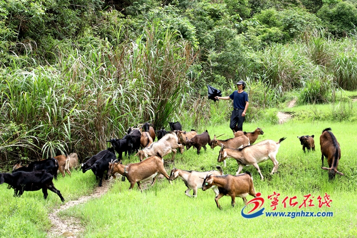 【小康來敲門】美好生活是干出來的