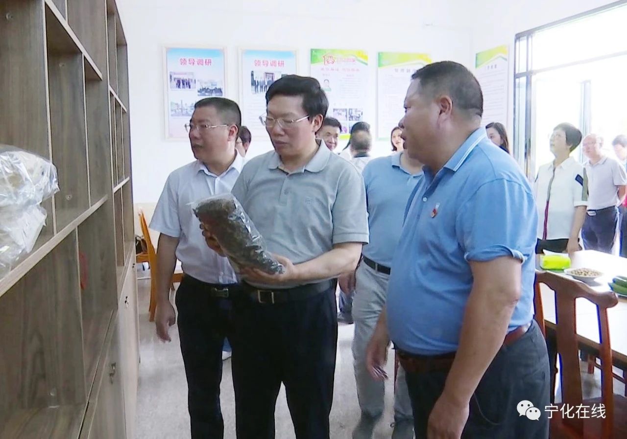 省人大常委會調研組來寧開展代表建議督辦工作調研