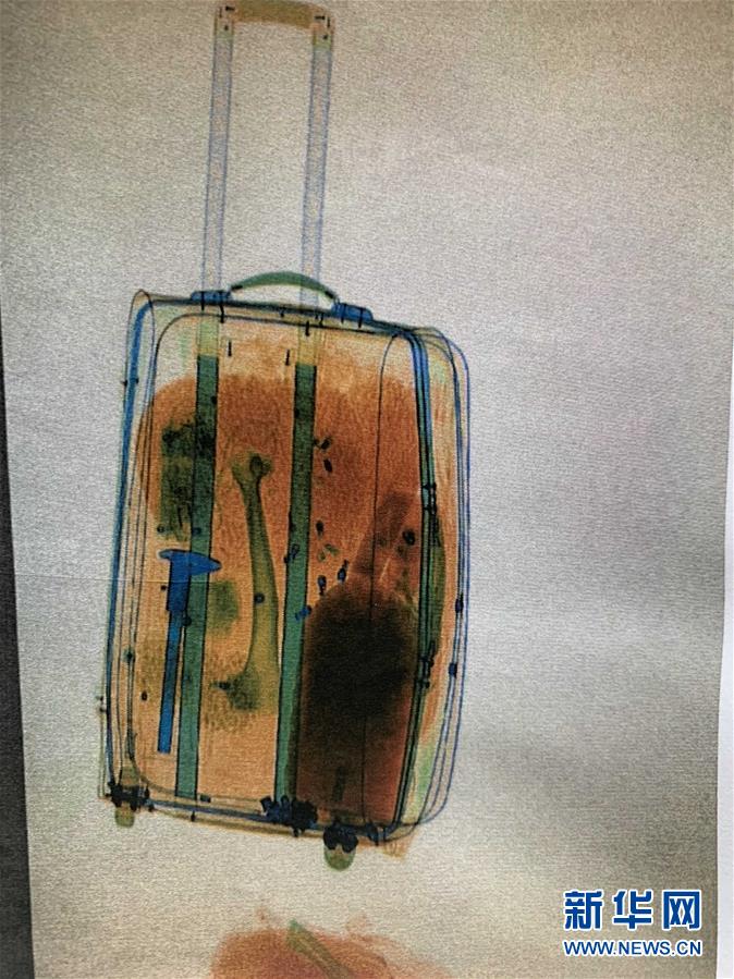 (圖文互動)(2)黑龍江一男子走私虎骨被判5年