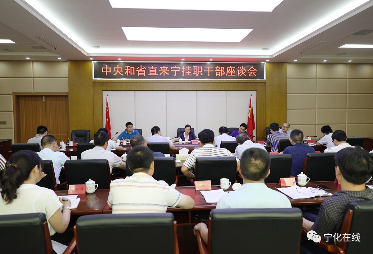 中央和省直單位來寧掛職干部座談會召開