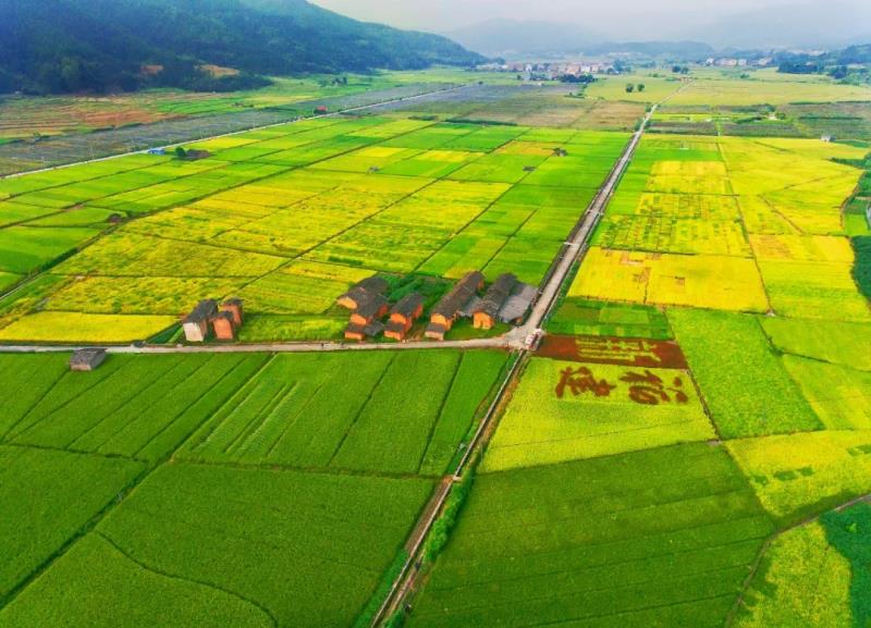 福建：深化改革有“三度” 改出發展“加速度”