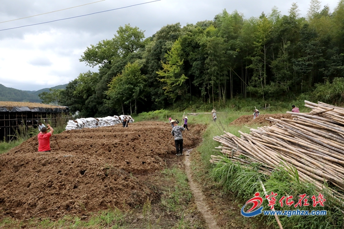 【工業(yè)基地 活力新城】寧化泉上新增一個(gè)姬松茸基地，規(guī)模位居全市前列！