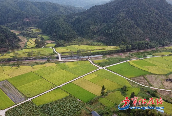 安遠鎮:打造“生態文明、宜商宜居”的閩贛邊界特色小鎮