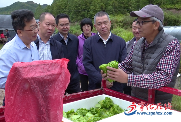 市政協調研組來寧化開展“海峽兩岸鄉村融合發展”對口協商調研