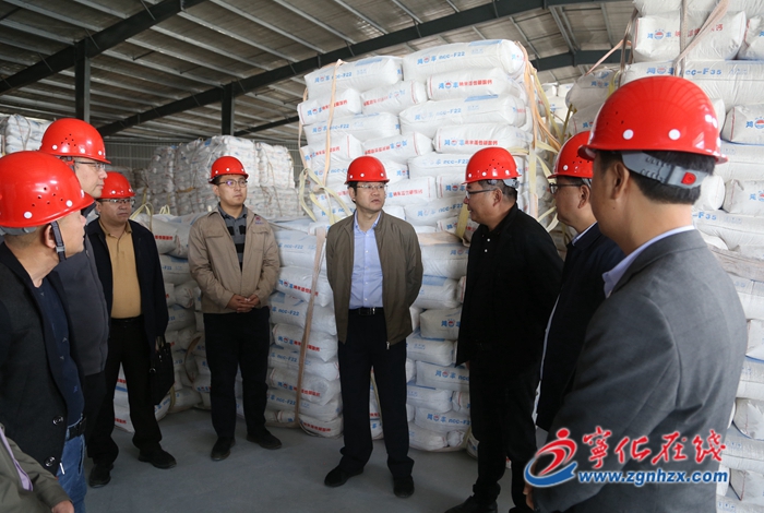 寧化縣領(lǐng)導(dǎo)開展項目工作調(diào)研