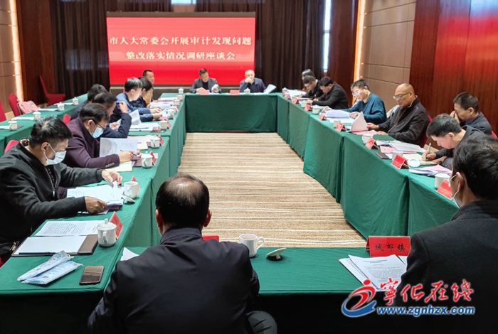 市人大常委會來寧開展市審計發現問題整改落實情況調研