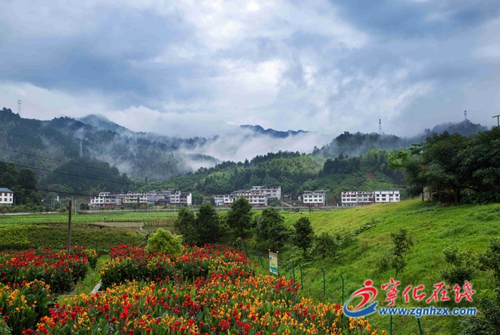 擦亮畬鄉“文旅名片”