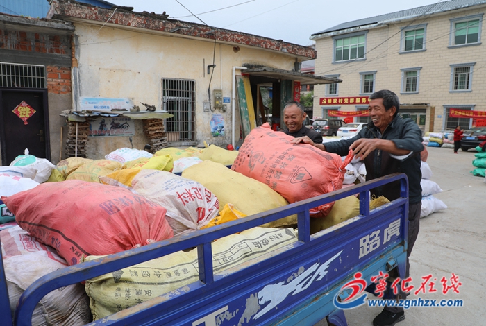 寧化中沙:紫薯產(chǎn)業(yè)助農(nóng)增收